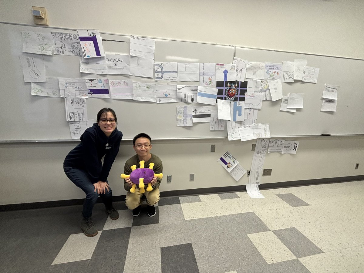 Sue Tsai (@sueytsai1) on Twitter photo A bit of chaotic fun in class designing and playing a tile laying survival game to model viral host immune interactions. Thank you <a href="/Offey4/">Maya shmulevitz</a> 💗 for mentorship and letting me experiment with teaching, and the awesome creative students 🎲🃏🧩 A bit of chaotic fun in class designing and playing a tile laying survival game to model viral host immune interactions. Thank you <a href="/Offey4/">Maya shmulevitz</a> 💗 for mentorship and letting me experiment with teaching, and the awesome creative students 🎲🃏🧩