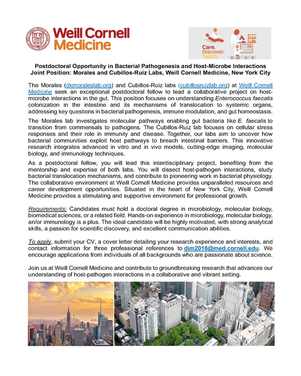 Juan Cubillos-Ruiz (@jcubruiz) on Twitter photo 🚨 Postdoc Opportunity in Host-Microbe Interactions! Join our team <a href="/WeillCornell/">Weill Cornell Medicine</a> in NYC to uncover how gut bacteria exit their niche to colonize distal organs and change the immune system. #Postdoc #Microbiology #Immunology. Full info here👇 🚨 Postdoc Opportunity in Host-Microbe Interactions! Join our team <a href="/WeillCornell/">Weill Cornell Medicine</a> in NYC to uncover how gut bacteria exit their niche to colonize distal organs and change the immune system. #Postdoc #Microbiology #Immunology. Full info here👇