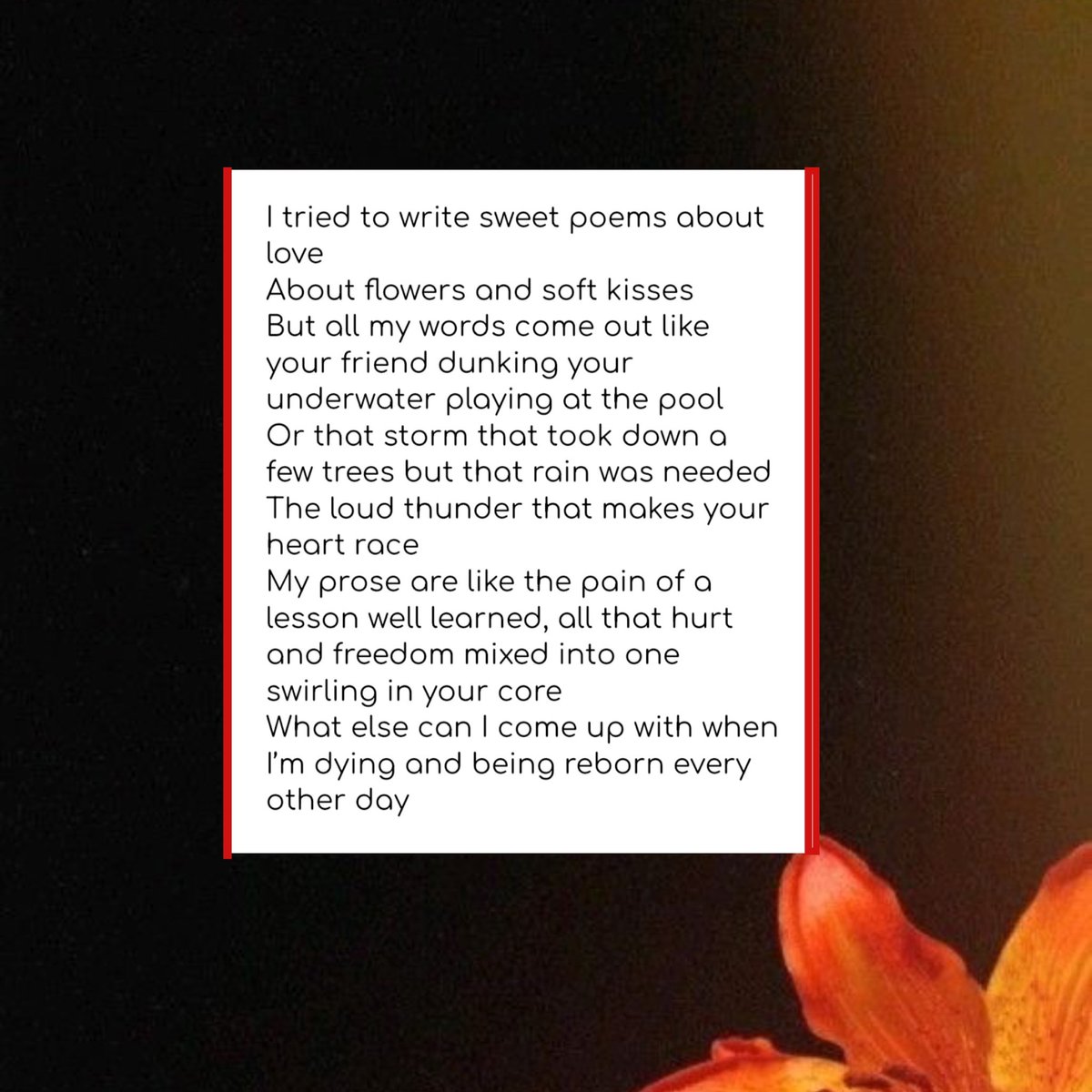 AmberDistance's tweet image. 