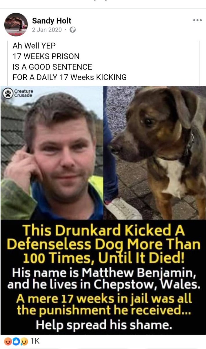 jackiemcsharry1's tweet image. #Chepstow  #Wales  #animalabuser #MatthewBenjamin   evil, cowardly scumbag!!  #UK  #AnimalCruelty  #dogs  #pets  #doghouse