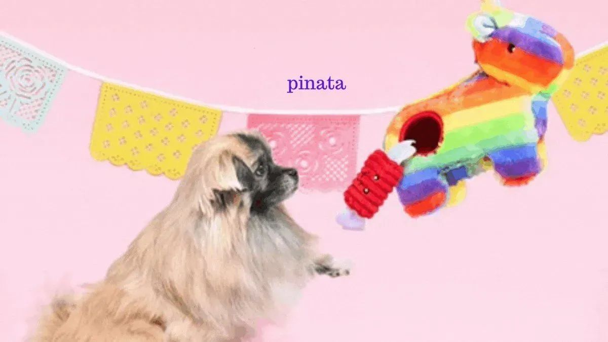CatClawsInc's tweet photo. It's a Llama Pinata Party! Dogs love the interactive squeaky candies in this fun dog toy. #dogtoys #dogsoftwitter 

Bring the party home >>> https://t.co/OyJylvWY4t https://t.co/zNDbVOJ4em