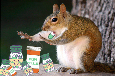 squichi_meme tweet picture