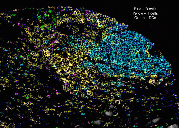 Waggoner Lab tweet media