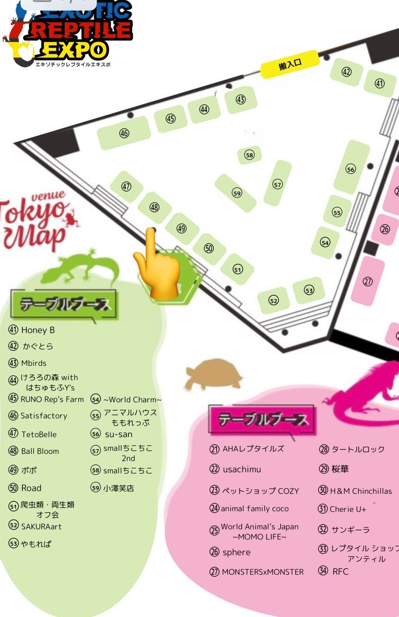 本年もよろしくお願いします😃
東京科学技術館展示ホール　1月19日(日)
エキゾチックレプタイルエキスポ　出店になります🐍🌵
イベント時にはリストから20%OFFに！
本年も笑って語って笑顔でお迎えください😊

#ボールパイソン #爬虫類 #エキスポ #ballbloom