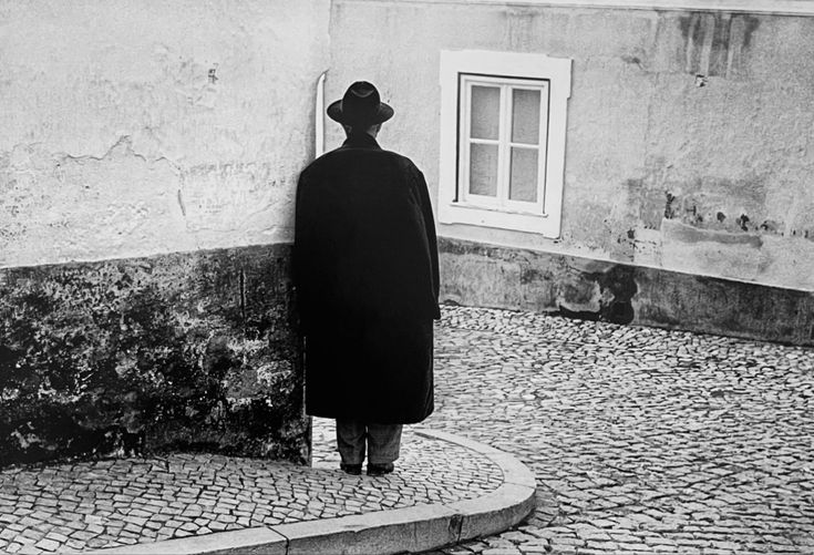 literland tweet media