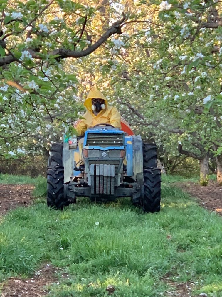 Karli Olson tweet media