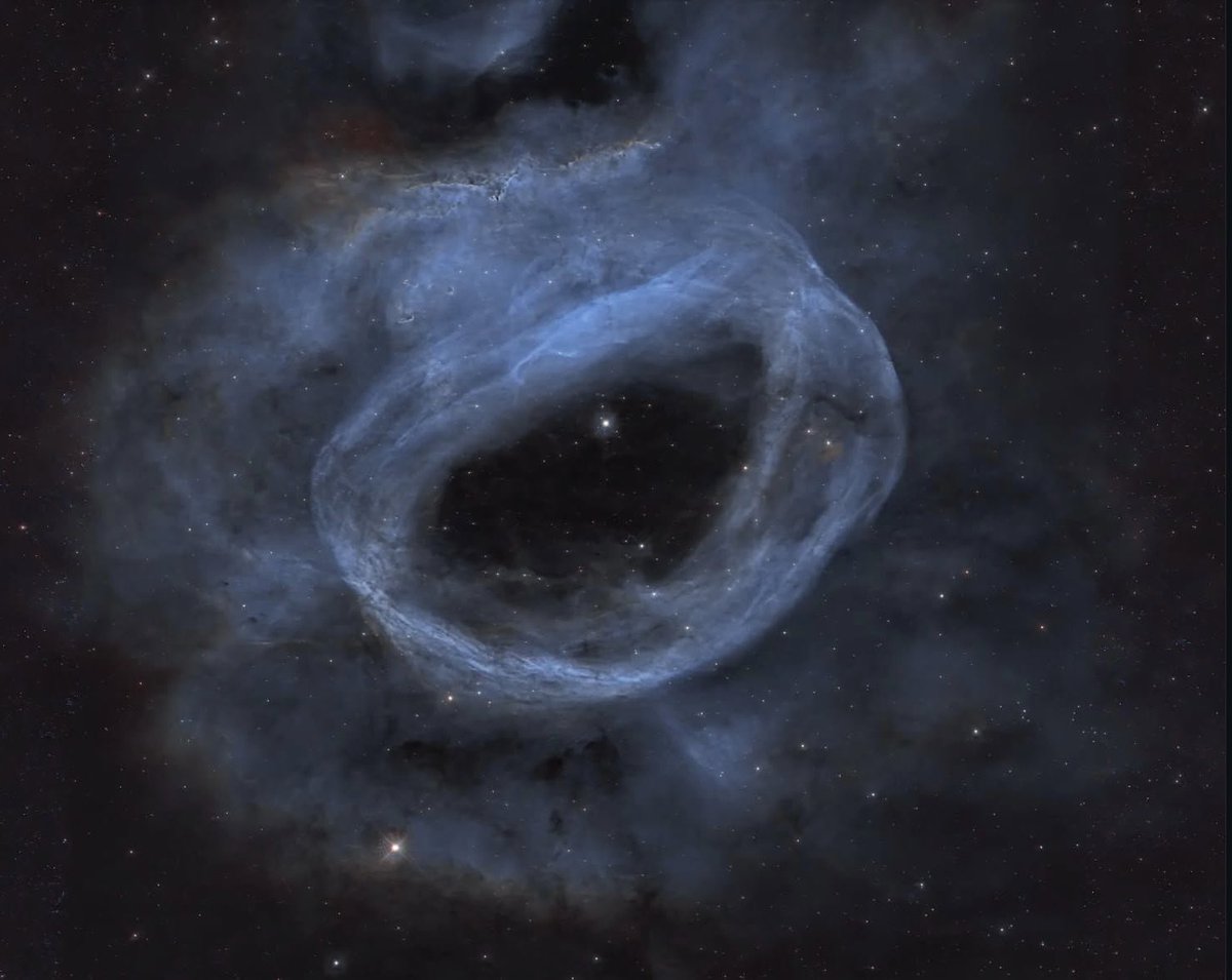 BOS Planet tweet media