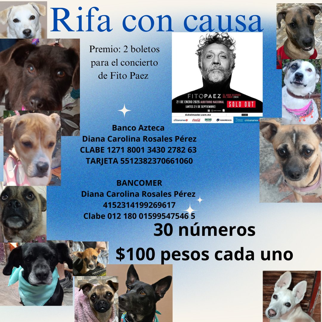 Amigos faltan poquitos días y solo hemos vendido un boleto , por favor 🥺 ayuden con un boleto son solo 100 pesos :(