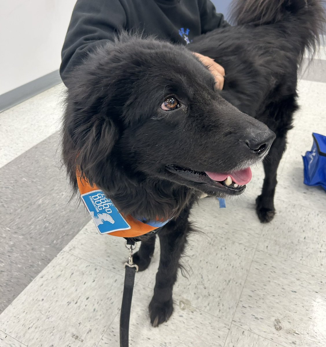 Jose Martinez tweet media