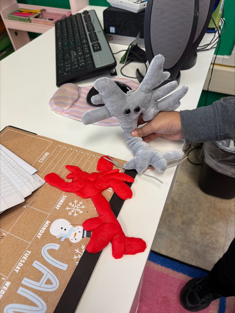 Ms.Greene tweet media