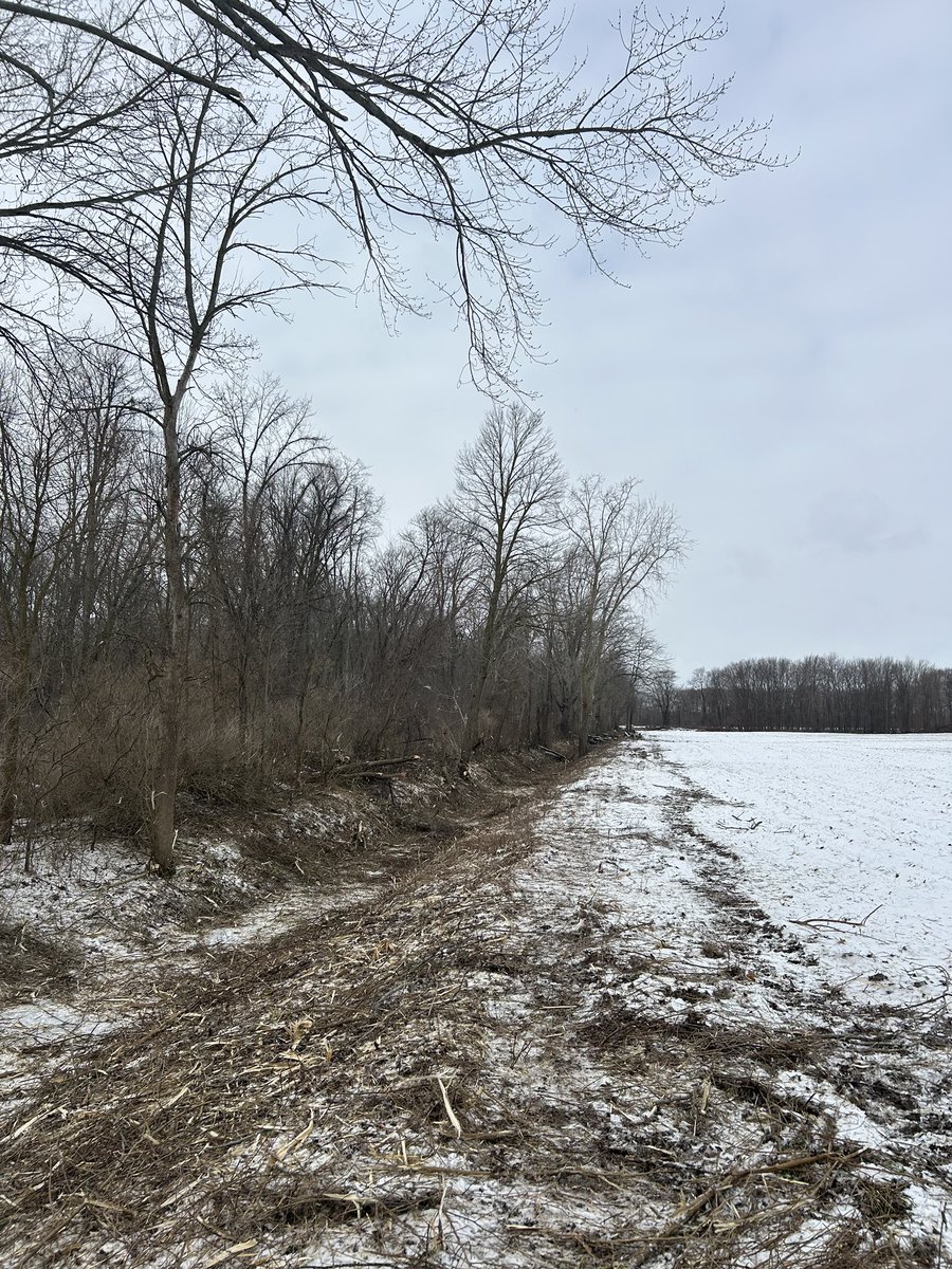 It’s mowing season and the conditions are amazing!!! Wood just explodes when it’s cold 🤙 We have lots of drains and farm improvements booked this winter!! We hope it stays cold for a while 👌👌