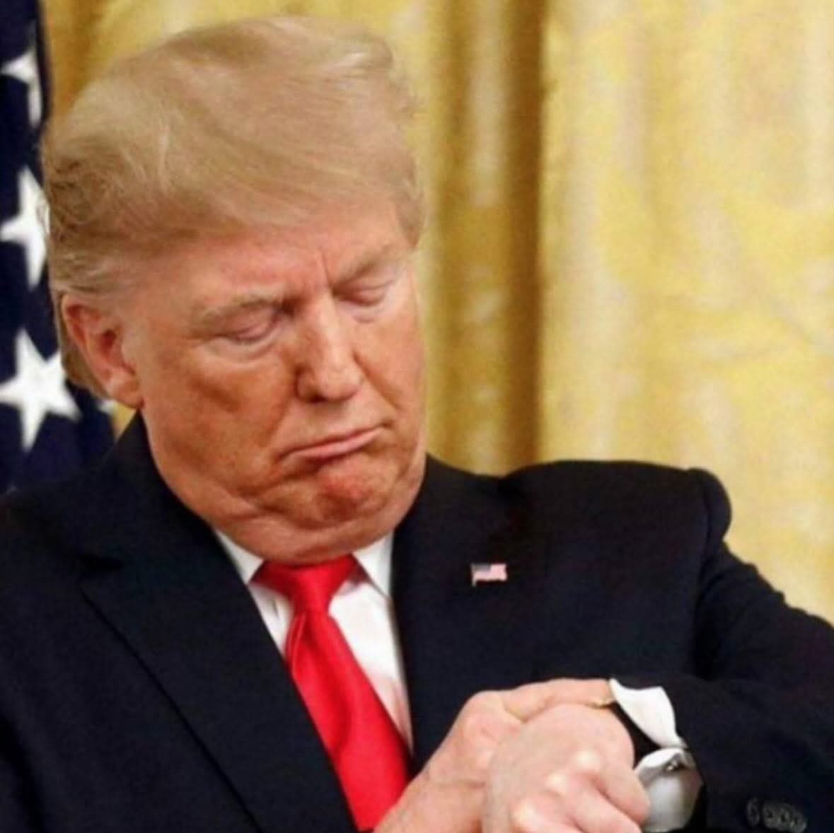 joaquimrib1801's tweet photo. Cogita-se a possibilidade de Donald Trump condecorar Bolsonaro com imunidade internacional. https://t.co/iqQStWEj7B
