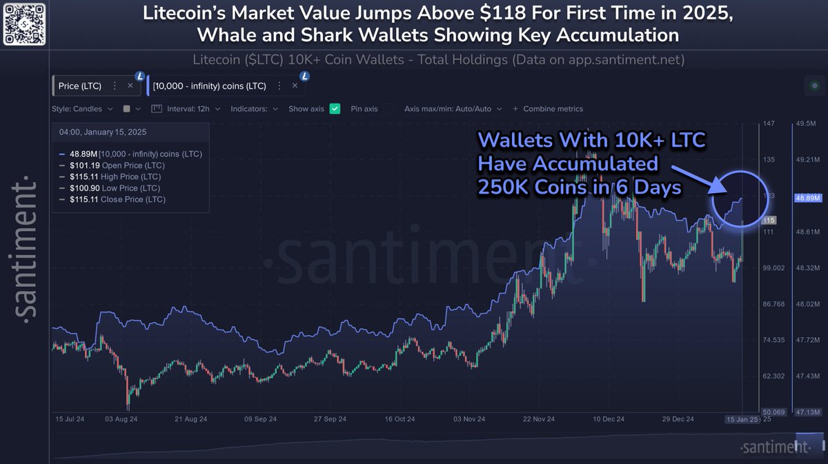 ⚡️📈 Litecoin has decoupled from other altcoins, jumping +16.1% in market  cap in just the past 11 hours. Just as we saw in early December, the key  driver appears to be whales