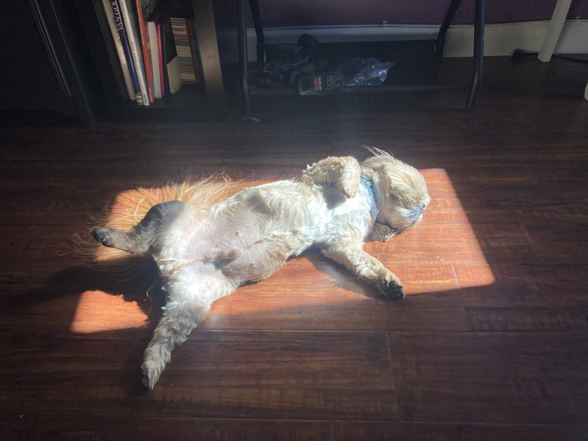 Eric Buss tweet media