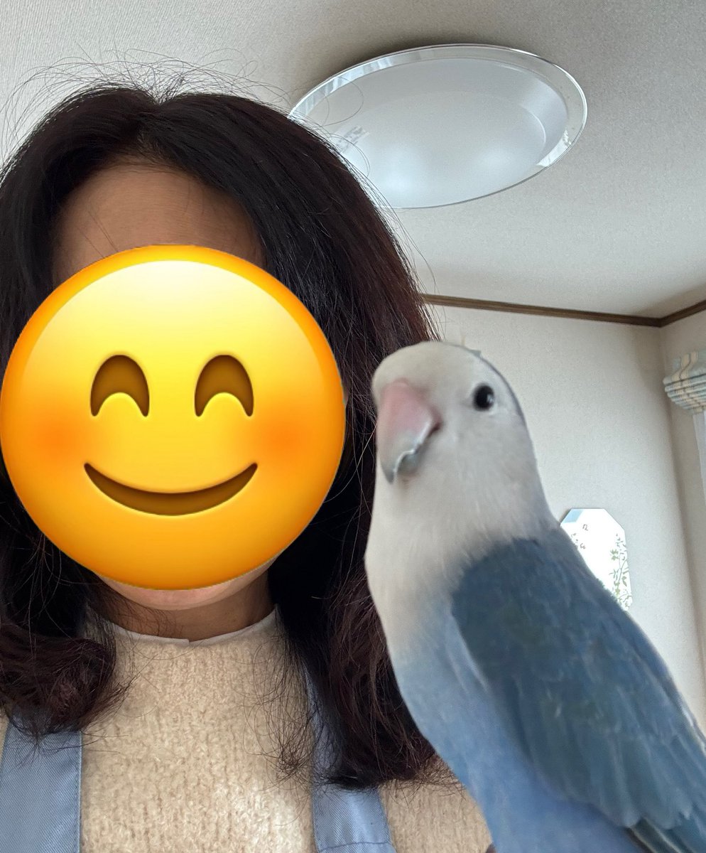 おはようございます☀️
暖かいお心をありがとうございます。みんな元気にしています🦜
良い1日をお過ごしください🍀✨