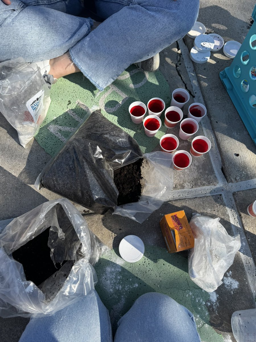 Rachael Cox tweet media