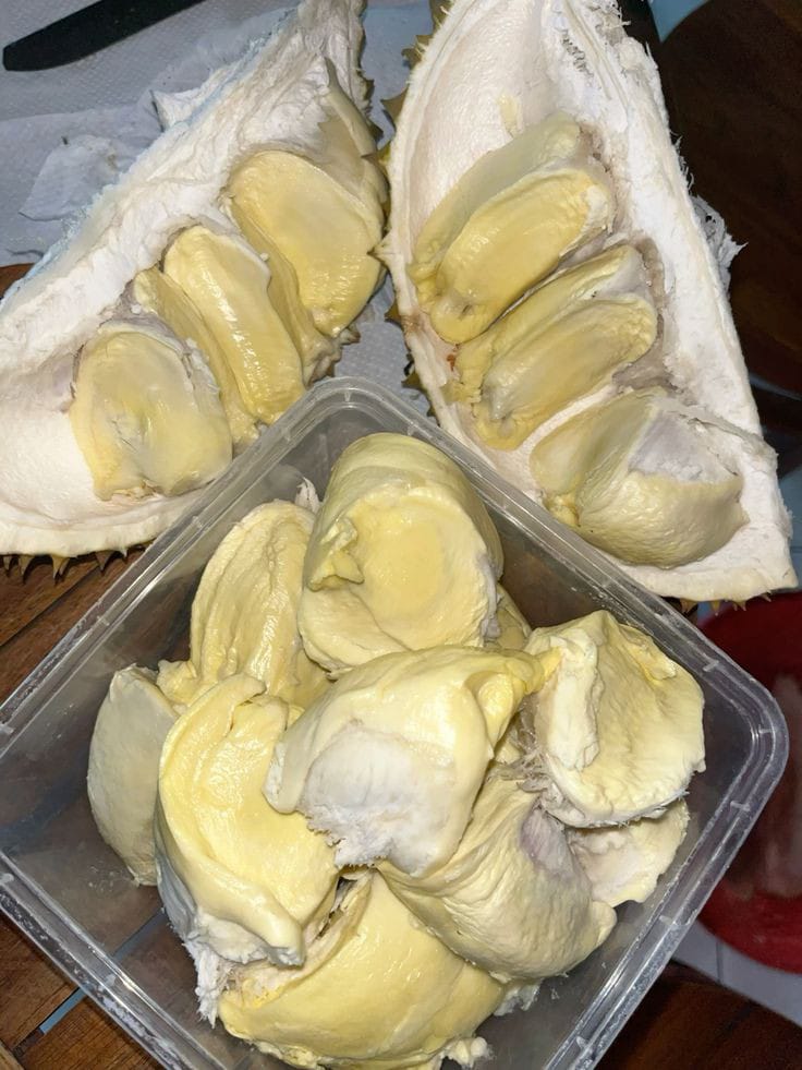 W I D J A Y A tweet media