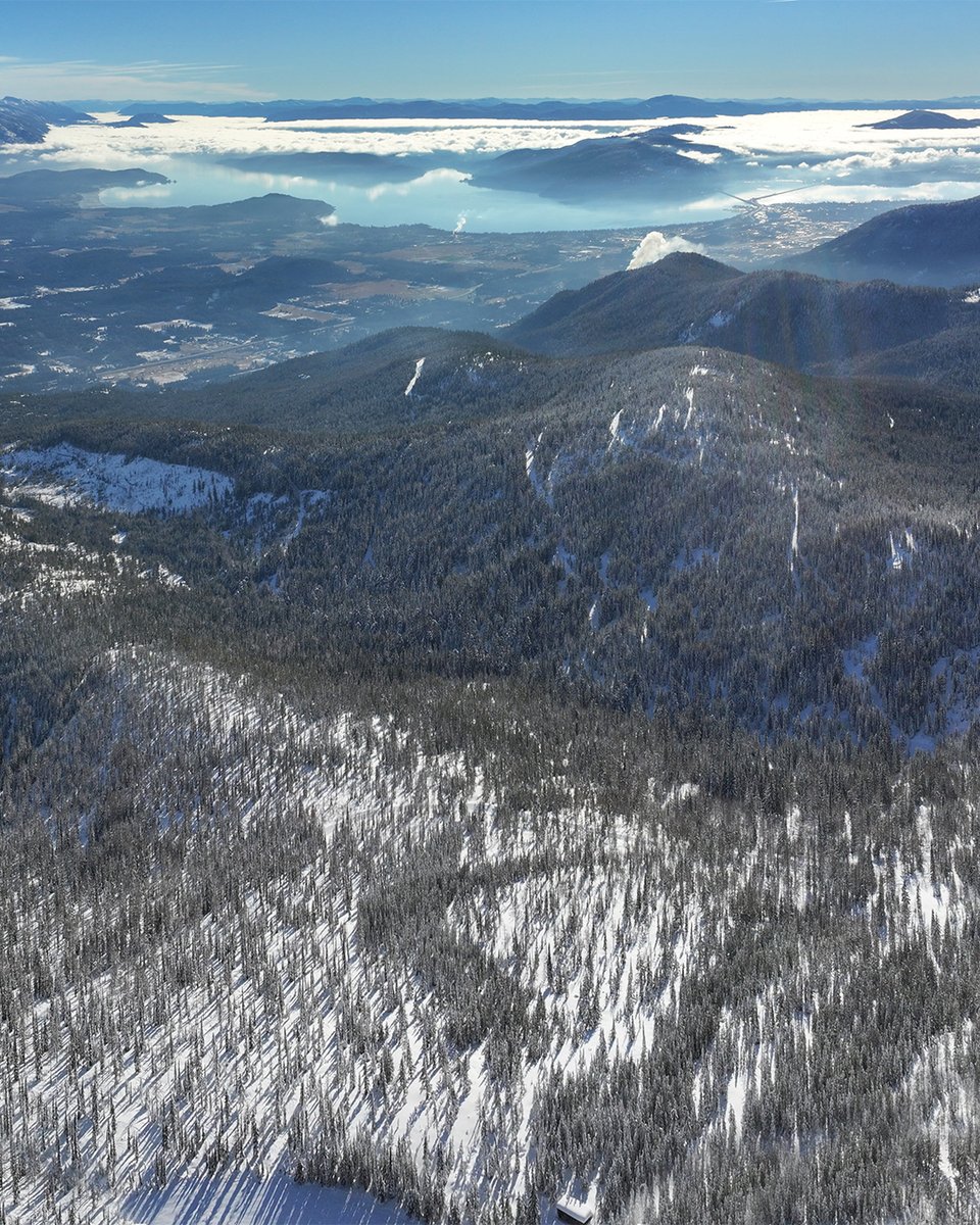 SchweitzerID's tweet photo. A picture perfect bluebird day ➡️ 🌞  More blue skies and sun are in the forecast through the weekend. Come up and enjoy it while it lasts.

#schweitzerlife https://t.co/ILtj0STeBl