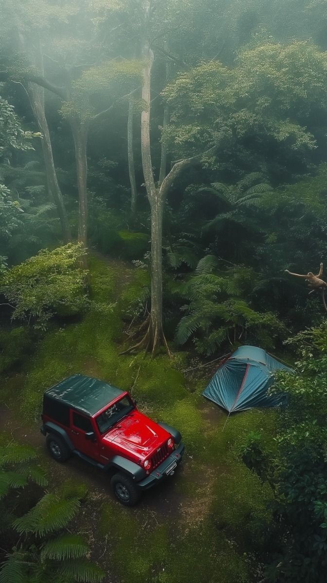 Hear the birds sing their songs of hope anew. The trees whisper strength in every leaf and dew.  

Nature’s rhythm reminds you—each day is a gift to pursue.

HAPPY THURSDAY DEARS ✨!!