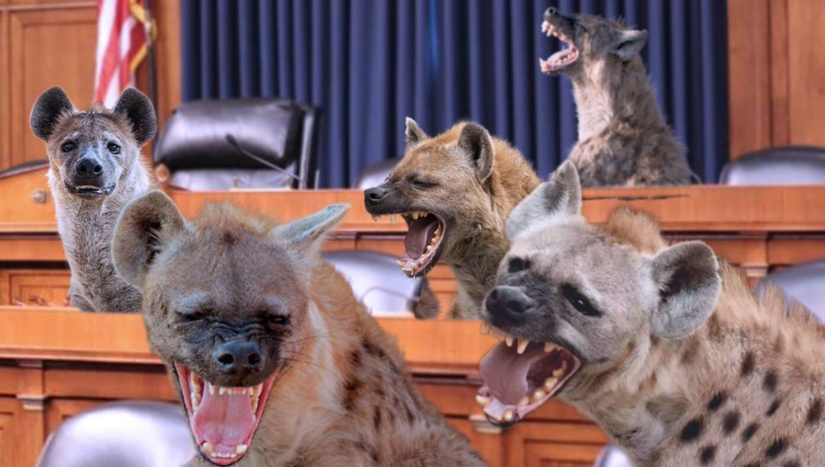To Improve Senate Confirmation Hearings, Democratic Women Replaced By Rabid Hyenas buff.ly/3C6zKQL