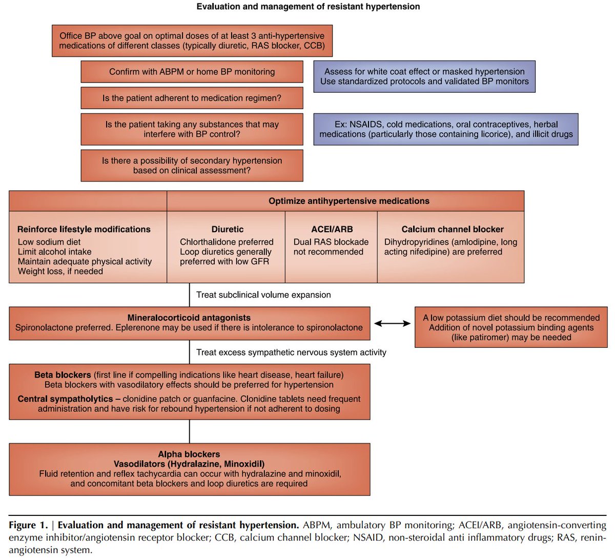 edgarvlermamd's tweet photo. Resistant Hypertension in CKD ca. 2011 from @MRrenaldoc @CJASN 
#Nephpearls 

👉 https://t.co/YkhlCJk1F3 https://t.co/2XCPHVJaNQ