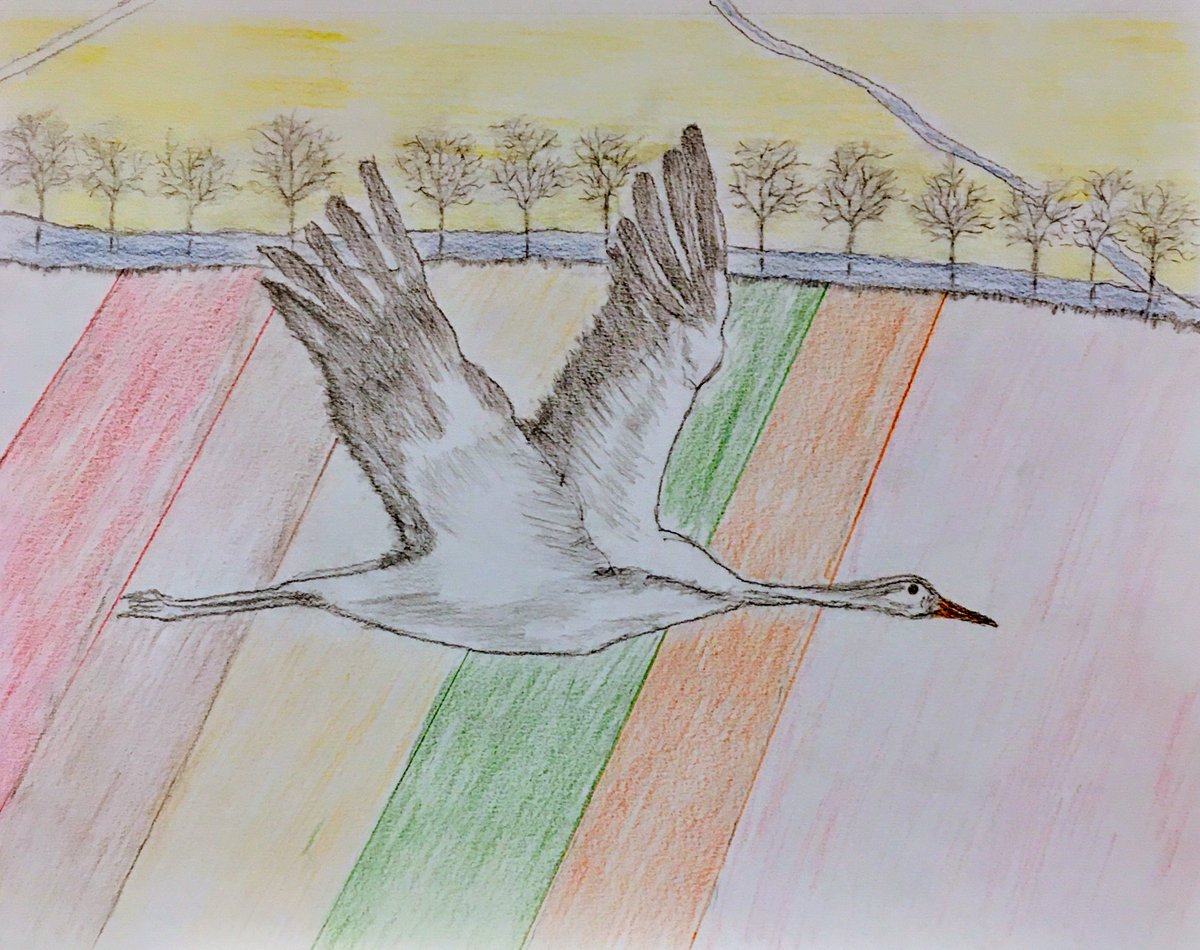 kjk3020's tweet photo. My Pencil Drawing with Pastel Colors. Lone Bird Flight over Fields. #singlecrane #fields #trees #waterstream #roads #pencilwork #pastelcolors #scenic #art https://t.co/N1mzExGf3W
