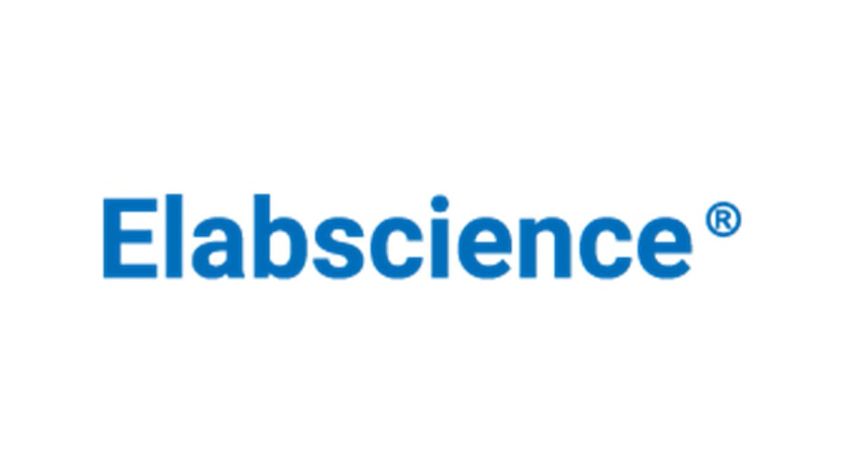 tfs_glocal's tweet photo. UPDATE! Elabscience Product Lists.
https://t.co/VxG8EGeOz1

#ELISA #TokyoFutureStyle #Elabscience https://t.co/M0HCXpDSH3