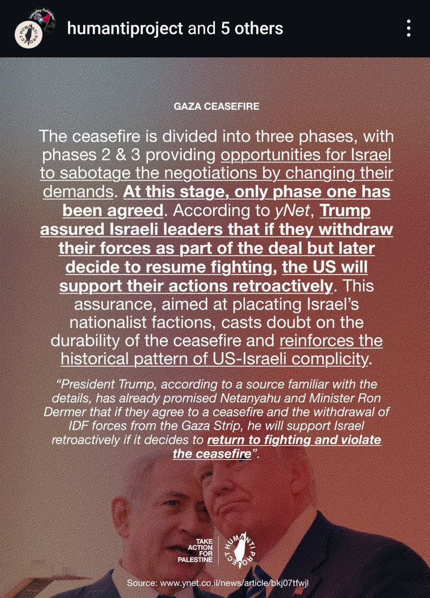 TURTLE⁷ tweet media