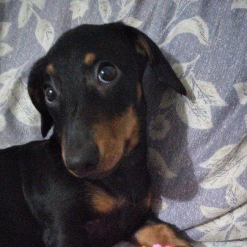 to ansioso p minha capinha chegar