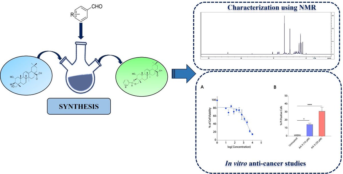 SSSIHL's tweet photo. Our latest study ‘Synthesis and anti-cancer activity of acetals of arjunolic acid’, published in the New Journal of Chemistry, reveals the anti-cancer potential of novel acetal derivatives of arjunolic acid.
For More: https://t.co/1JrfpQWjjF
Read Paper: https://t.co/ezUgV1fh3o https://t.co/QzgFuEo0rG