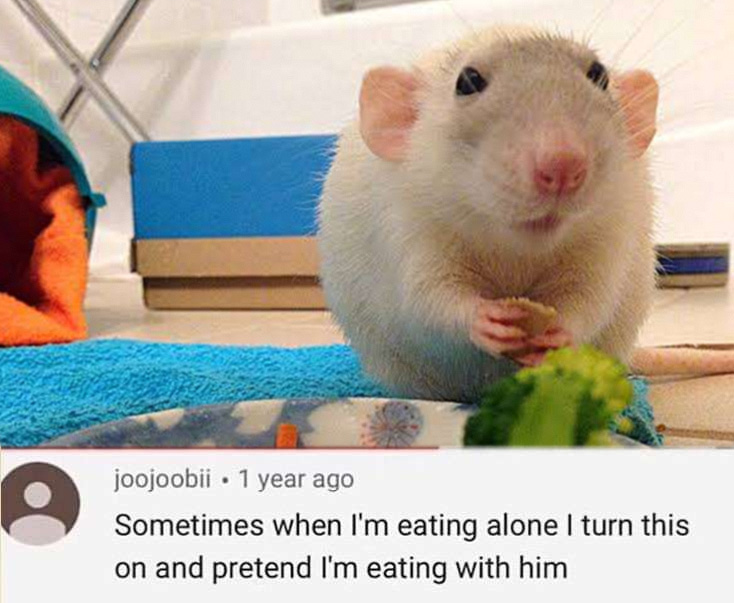 rat is eating with u in spirit 💞