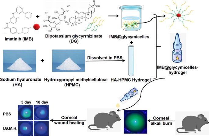 Drug Delivery and Translational Research (@ddtremedia) on Twitter photo It is our pleasure to share the Best Paper awardee of the <a href="/DDTReMedia/">Drug Delivery and Translational Research</a> January 2025 Issue.
link.springer.com/article/10.100β¦
<a href="/CRSScience/">Controlled Release Society</a> <a href="/CRS_FG_Gene/">CRS Focus Group - Gene Delivery and Gene Editing</a> <a href="/CRS_FG_Immuno/">CRS Immuno Delivery</a> <a href="/CRS_FG_NANO/">CRS NANO</a> <a href="/CRS_FG_Ocular/">CRS Focus Group - Ocular Delivery</a> <a href="/CRS_FG_Oral/">CRS Oral Delivery Focus Group</a> <a href="/CRS_FG_SkinMuco/">CRS Focus Group - Skin and Mucosal Delivery</a> <a href="/CRS_FG_BioEng/">CRS Focus Group-BioEng</a> <a href="/CRS_YSC/">Young Scientist Committee YSC-CRS</a> @MariaJ_Alonso It is our pleasure to share the Best Paper awardee of the <a href="/DDTReMedia/">Drug Delivery and Translational Research</a> January 2025 Issue.
link.springer.com/article/10.100β¦
<a href="/CRSScience/">Controlled Release Society</a> <a href="/CRS_FG_Gene/">CRS Focus Group - Gene Delivery and Gene Editing</a> <a href="/CRS_FG_Immuno/">CRS Immuno Delivery</a> <a href="/CRS_FG_NANO/">CRS NANO</a> <a href="/CRS_FG_Ocular/">CRS Focus Group - Ocular Delivery</a> <a href="/CRS_FG_Oral/">CRS Oral Delivery Focus Group</a> <a href="/CRS_FG_SkinMuco/">CRS Focus Group - Skin and Mucosal Delivery</a> <a href="/CRS_FG_BioEng/">CRS Focus Group-BioEng</a> <a href="/CRS_YSC/">Young Scientist Committee YSC-CRS</a> @MariaJ_Alonso