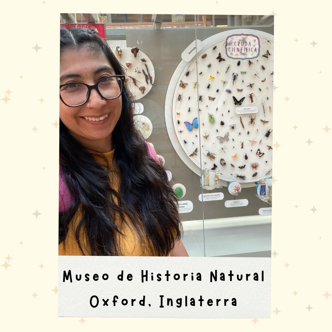 CrudaCientifica's tweet photo. Hoy es el Día Mundial de la Selfie en un Museo. ¿Tú ya fuiste a tu museo favorito?
Compártenos tu mejor foto 📸
#selfie #museo #viral #Syi #divulgacioncientifica https://t.co/mNUmiiF8aK
