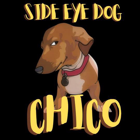 VikingBerserk17's tweet photo. This last week has been a rough ride, but #Chico is here to stay! Thank you to all the diamond hands out there that believed in our community and the #sideeyedog project.
Please see all the changes our official CTO has been able to make since January 8th when the real CTO took place.
-new X account ✅
-blue tick✅
-new Instagram account✅
-new TikTok account ✅
-Marketing Wallet✅
-Dexscreener update✅
-Dextool update✅
-Meme picture update✅
Come join us in our official telegram for the most recent updates for #Chico!
Telegram: https://t.co/ZE9UHK6JvQ
Also, check out our new and improved #Chico 👇
@SideEyeChico