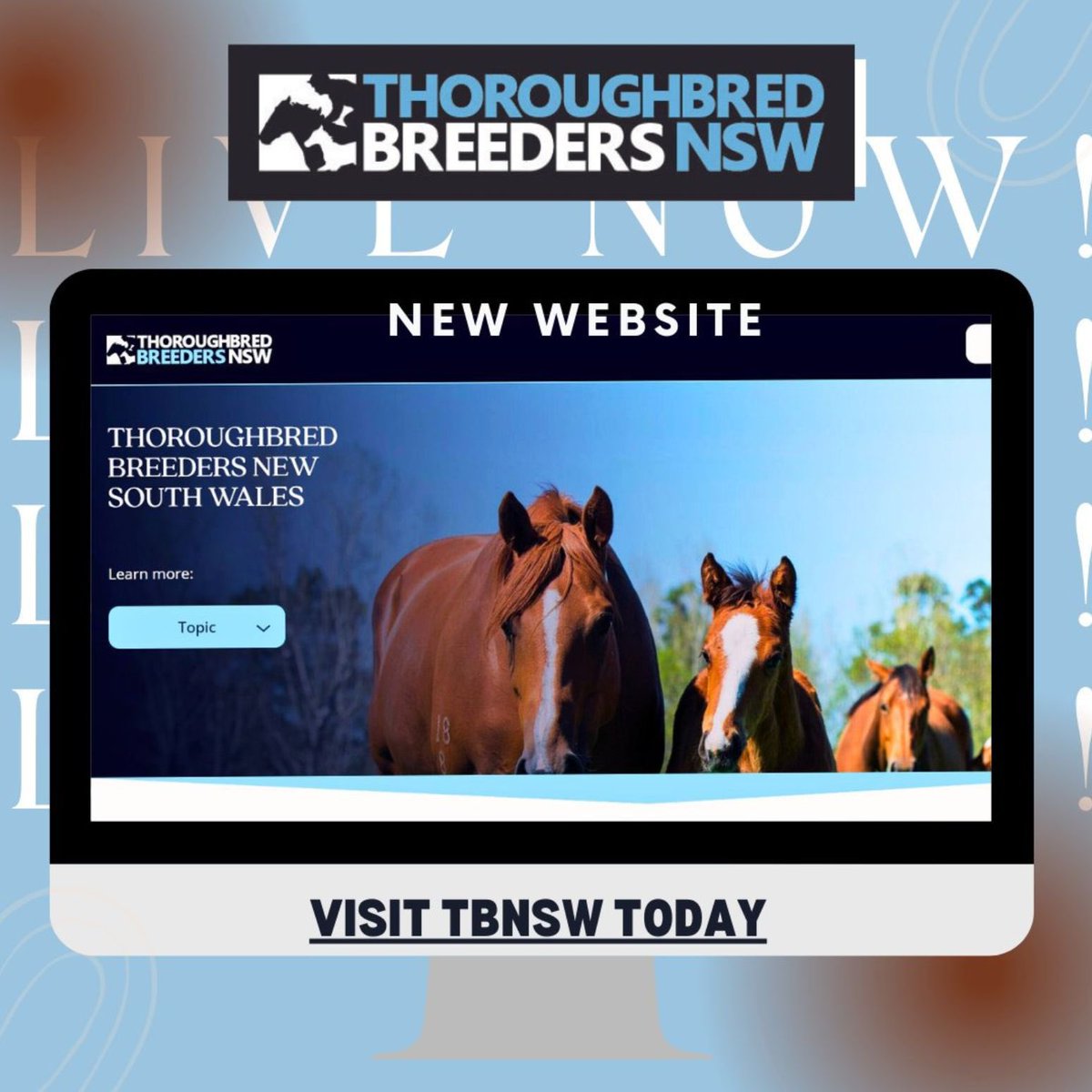 Have you heard? We’ve launched a brand-new website 👀

It’s your go-to hub for everything happening in the NSW breeding world—resources, events, and all the latest industry updates.

Follow the link to take a look ➡️ tbnsw.com.au/?fbclid=PAZXh0…

#TBNSW