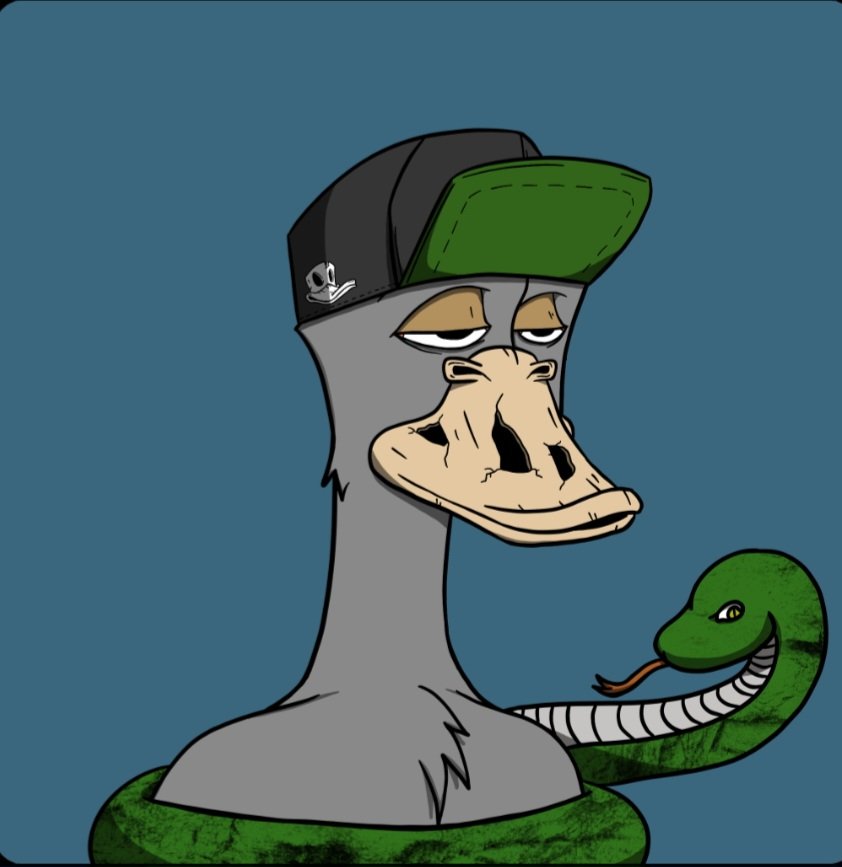 Lunatics | UNRUGGED | $QAK tweet media
