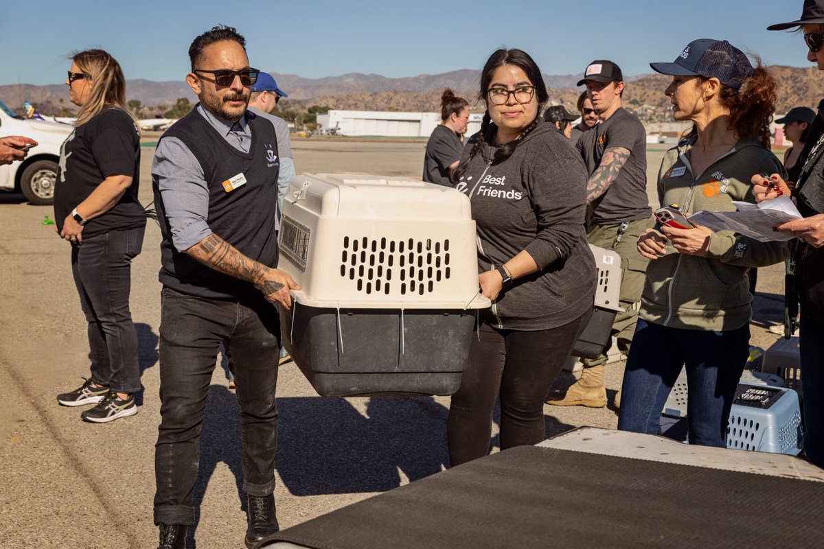 bestfriends's tweet photo. A huge shoutout to @WingsOfRescue1, @angelcitypits, and our teams in both LA and SLC for making this happen. Stay tuned for their arrival in Utah! ^kw https://t.co/4Xg6XkgMZy