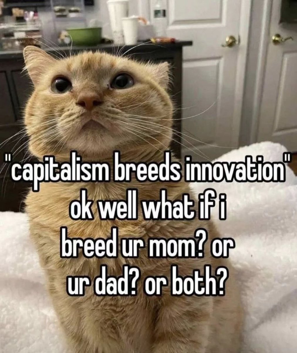 PunchingCat's tweet photo. https://t.co/BxUsVM4hdf