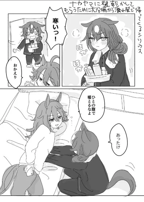 シリナカ 