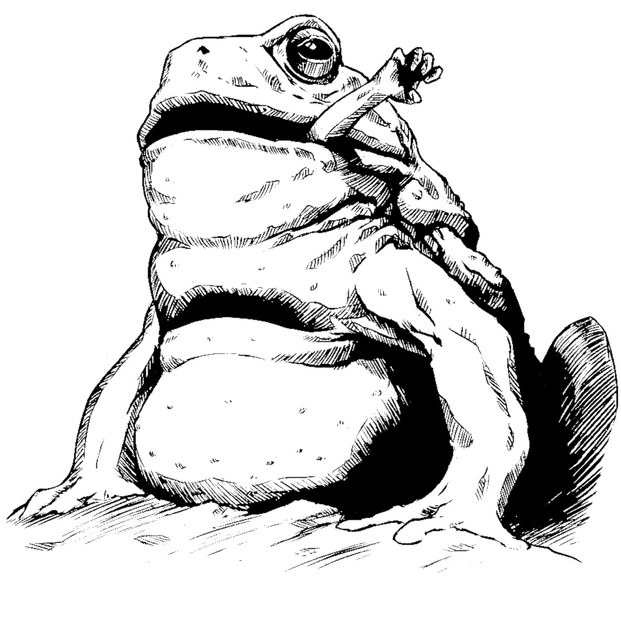 Inkforged has just added a new entry to Ashton's Journals.  This one is all about the Baghwump, a dangerous beast known to inhabit the remote swamps and marshes of The Realm.  Their most notable feature is that they never stop growing.  Art by Dean Spencer