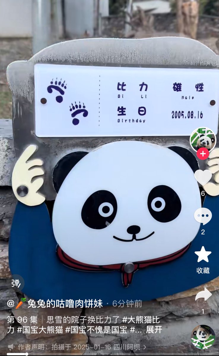 熊猫ページ ૮ . ̫ . ა ⸝꙳ (@zhengzaitiaohe) / Posts / X