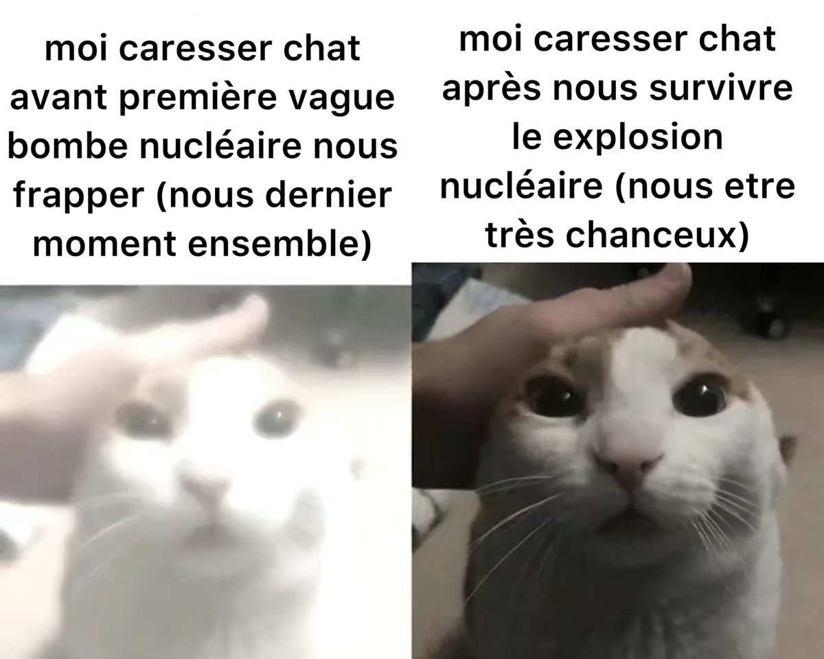memestraduit's tweet photo. https://t.co/qcWSVMZKDL