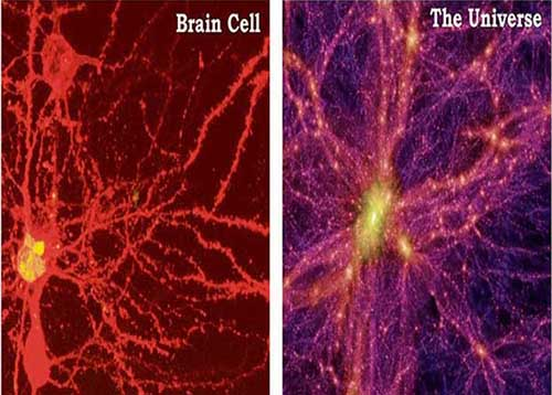 despertar's tweet photo. La visualización era uno de los principios fundamentales de Murphy.

Enseñaba que al imaginar tus metas como ya alcanzadas, con todos los detalles, puedes recablear tu cerebro para materializarlas.

¿Parece magia?

Aquí está la explicación científica: https://t.co/XfC7mx07MD