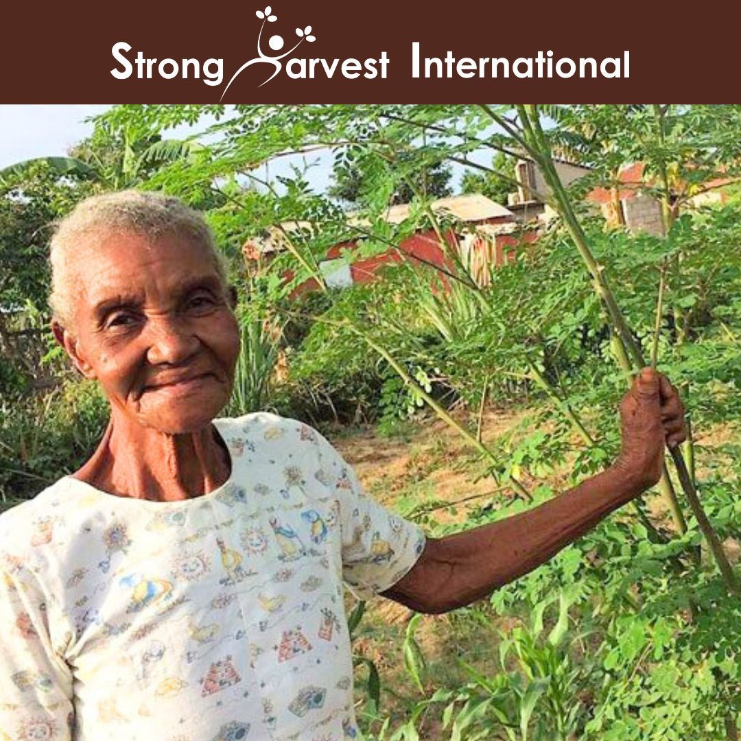 Strong Harvest tweet media