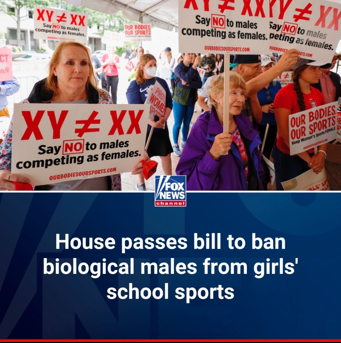 Lucy Zelić tweet media