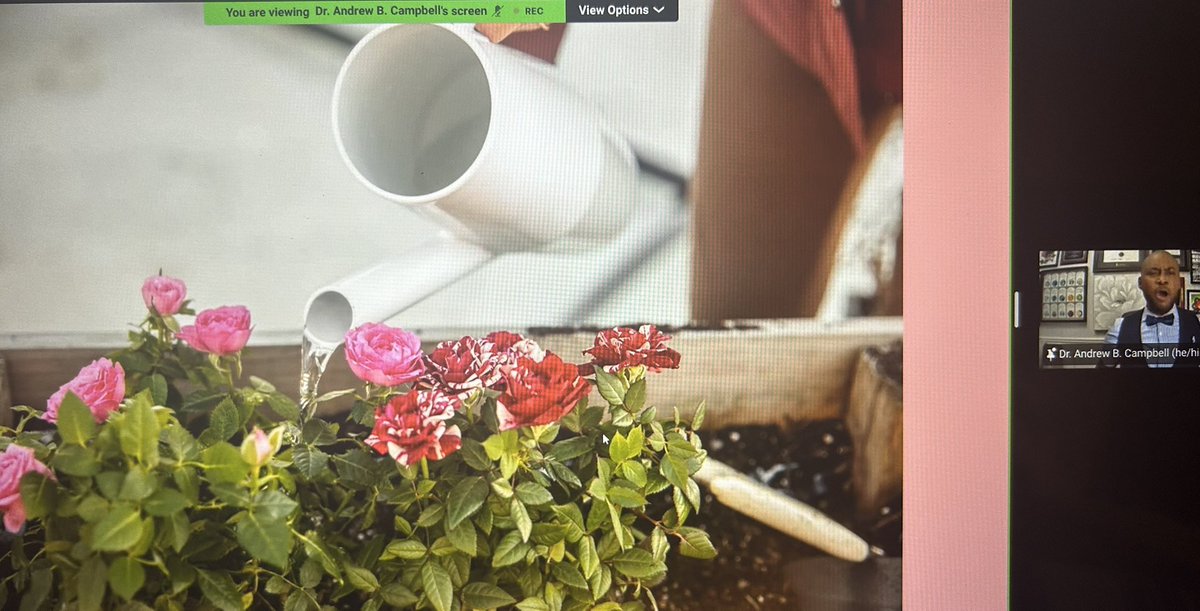 N Scott-Chin tweet media