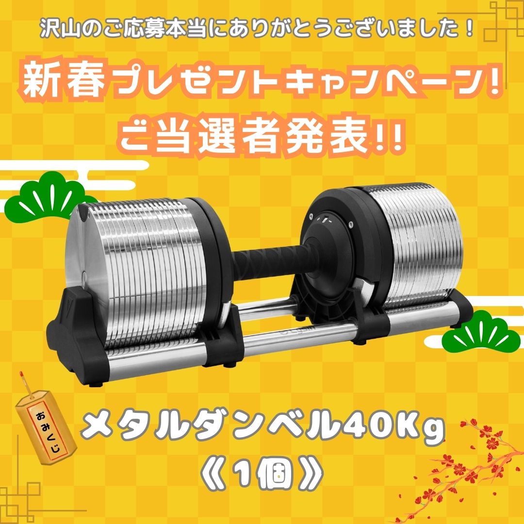 ライシン 【公式】 トレーニング ダンベル フレックスベル プロ ライシン 【公式】 トレーニング ダンベル フレックスベル プロ