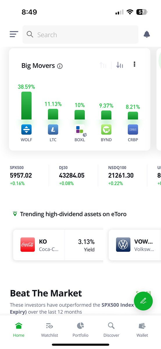 Hazel Fin tweet media