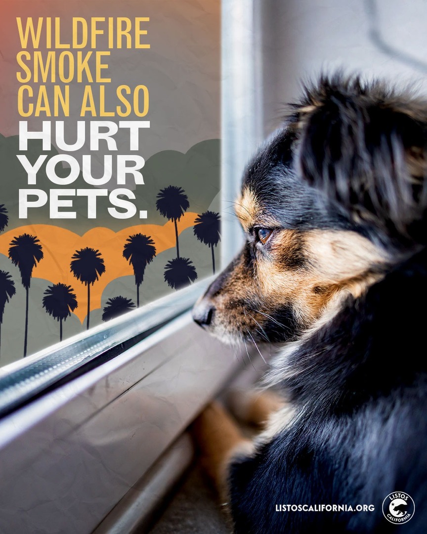 Smoke from wildfires can make the air very unhealthy for you, your loved ones, and your pets.

If you’re inside, keep doors and windows closed to avoid wildfire smoke.

Visit ListosCalifornia.org to stay informed and sign up for alerts.