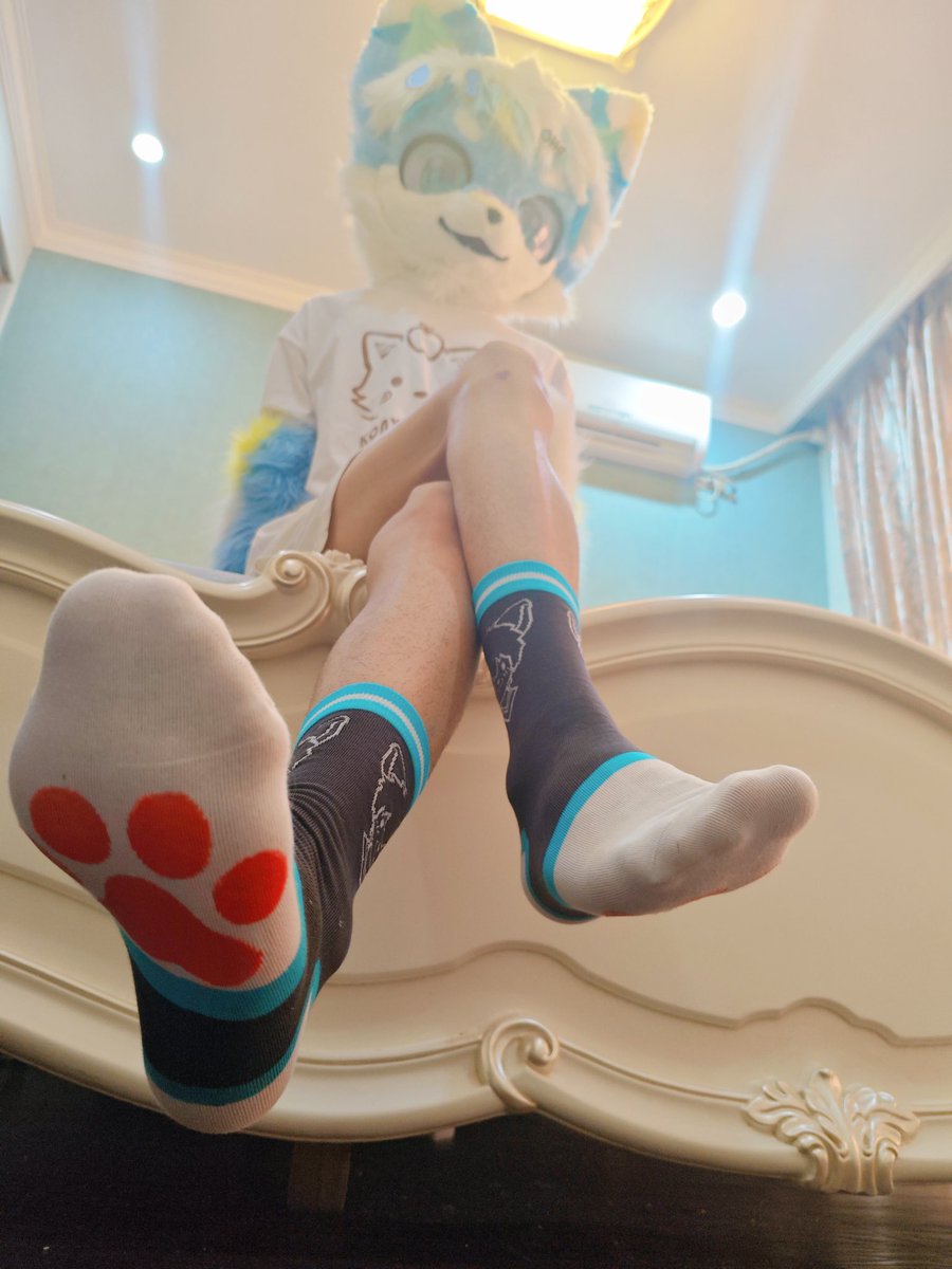 叫主人，骚狗